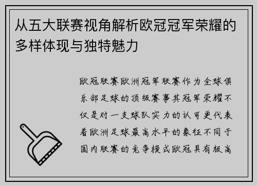 从五大联赛视角解析欧冠冠军荣耀的多样体现与独特魅力