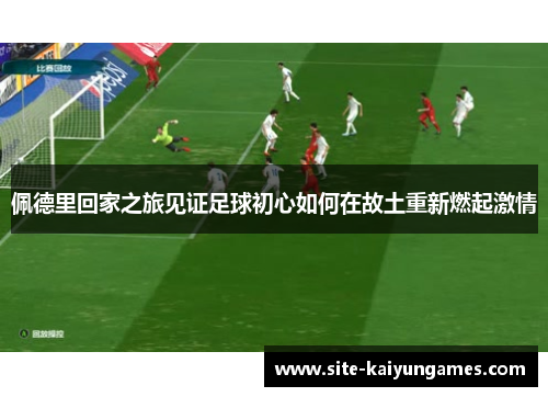 佩德里回家之旅见证足球初心如何在故土重新燃起激情