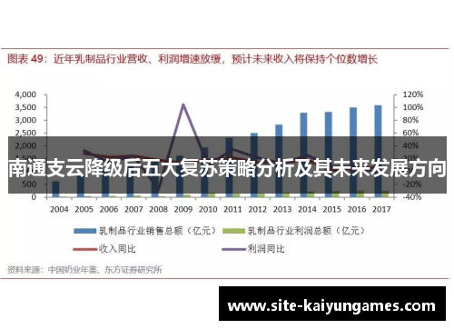 南通支云降级后五大复苏策略分析及其未来发展方向