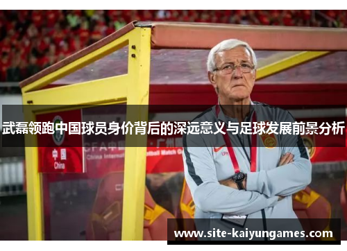 武磊领跑中国球员身价背后的深远意义与足球发展前景分析