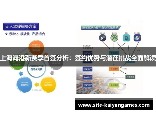 上海海港新赛季首签分析：签约优势与潜在挑战全面解读
