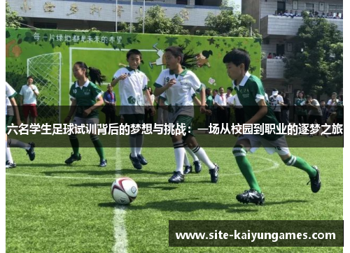 六名学生足球试训背后的梦想与挑战：一场从校园到职业的逐梦之旅