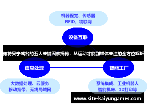 佩特曼宁成名的五大关键因素揭秘：从运动才能到媒体关注的全方位解析