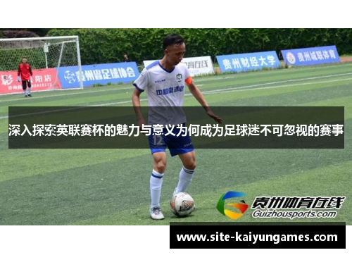 深入探索英联赛杯的魅力与意义为何成为足球迷不可忽视的赛事