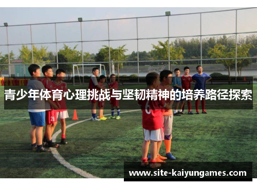 青少年体育心理挑战与坚韧精神的培养路径探索 青少年体育心理挑战与坚韧精神的培养路径探索